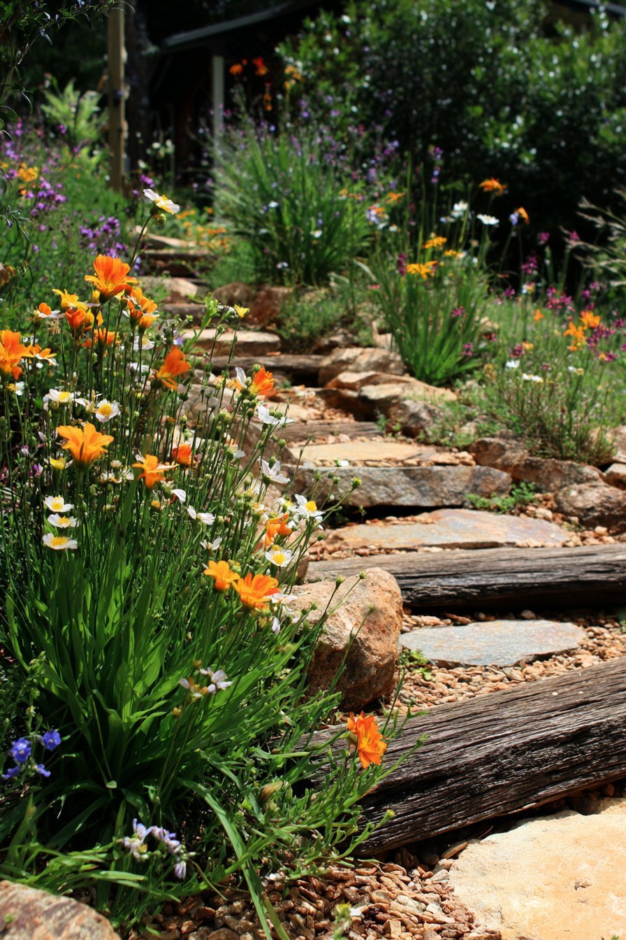 Ecological Butterfly Garden