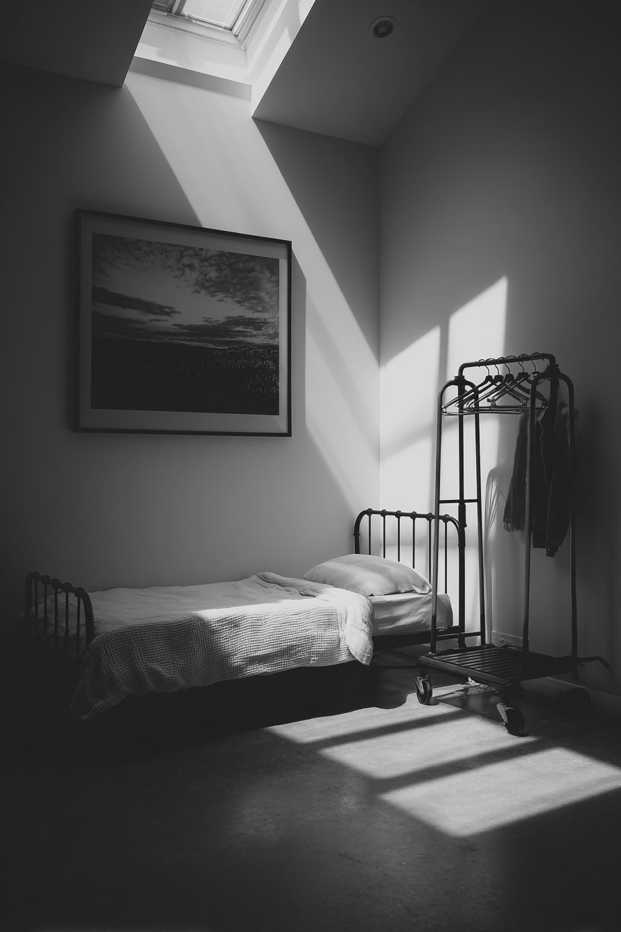 Matte black metal bed, rolling black clothing rack, large black and white print and skylight on grey concrete