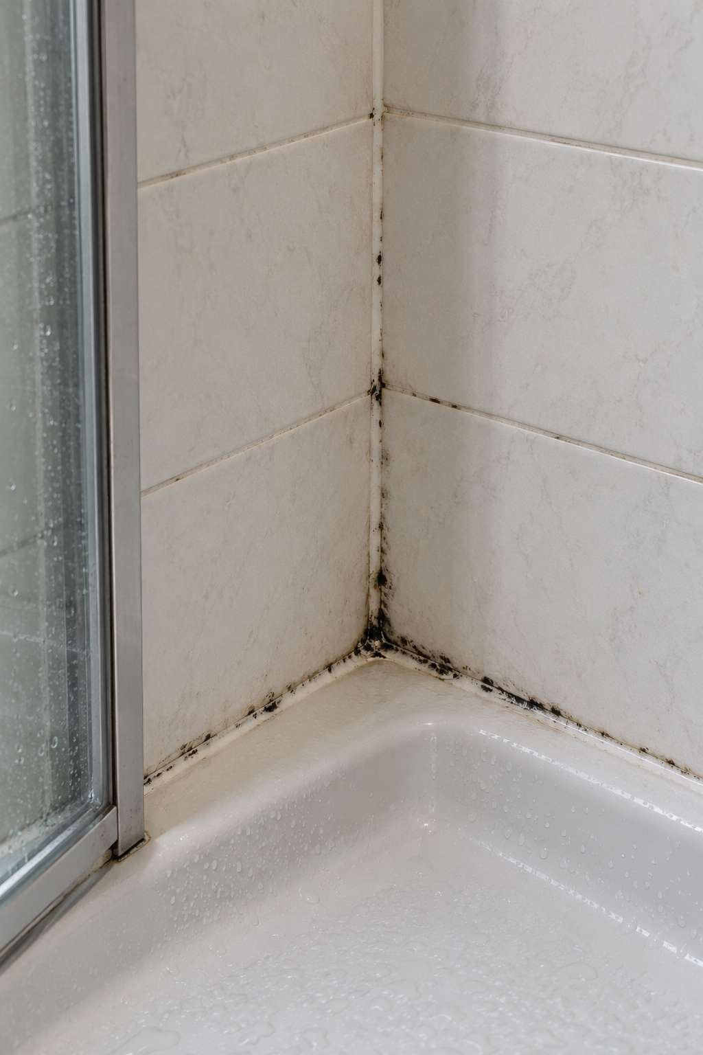 Mold spotting along bathroom grout lines and shower caulk